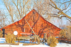 barn12-30-2017eagle2
