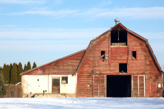 barn12-30-2017eagle3