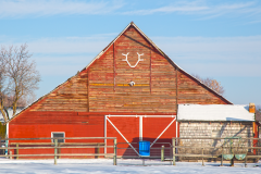 barn12-30-2017eagle4