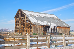 barn12-30-2017eagle6