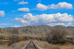 emmett04-07-2020Btracks_RS