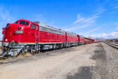 emmett_train_04-07-2020B_RS