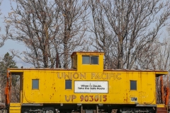 emmett_train_04-07-2020C_RS