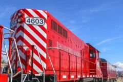 emmett_train_04-07-2020D_RS