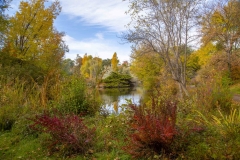 1_Fall10-18-2019H_RS