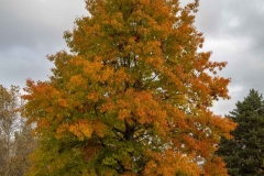 Fall10-18-2019E_RS