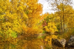 Fall10-18-2019J_RS