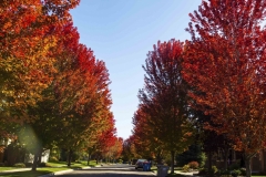 Fall10_11_2019C_RS2