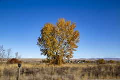 Canyoncountydrive10-27-2019C_RS
