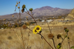 Canyoncountydrive10-27-2019F_RS