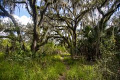 blusshammocktrailhead02-14-2021_sm