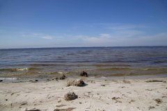 pundagorda01-24-2021_sm