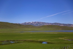 mountainscene06-05-2019_rs