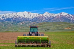 tractor06-05-2019A_rs