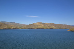 IMG_8290