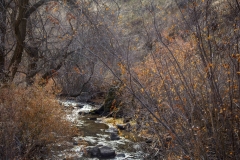 harriscreekStream11-15-2019_RS