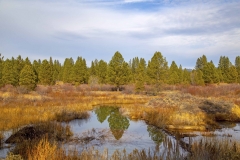 meadow_Placeville11-15-2019_rs
