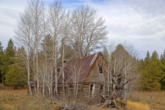 oldhouse11-15-2019_rs