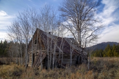 starranch11-15-2019B_RS
