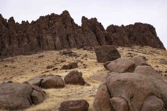 renolds12202018D_rs