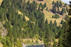 wwrafting08102019F_RS