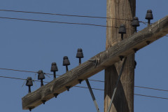 Nampa07-18-2020m