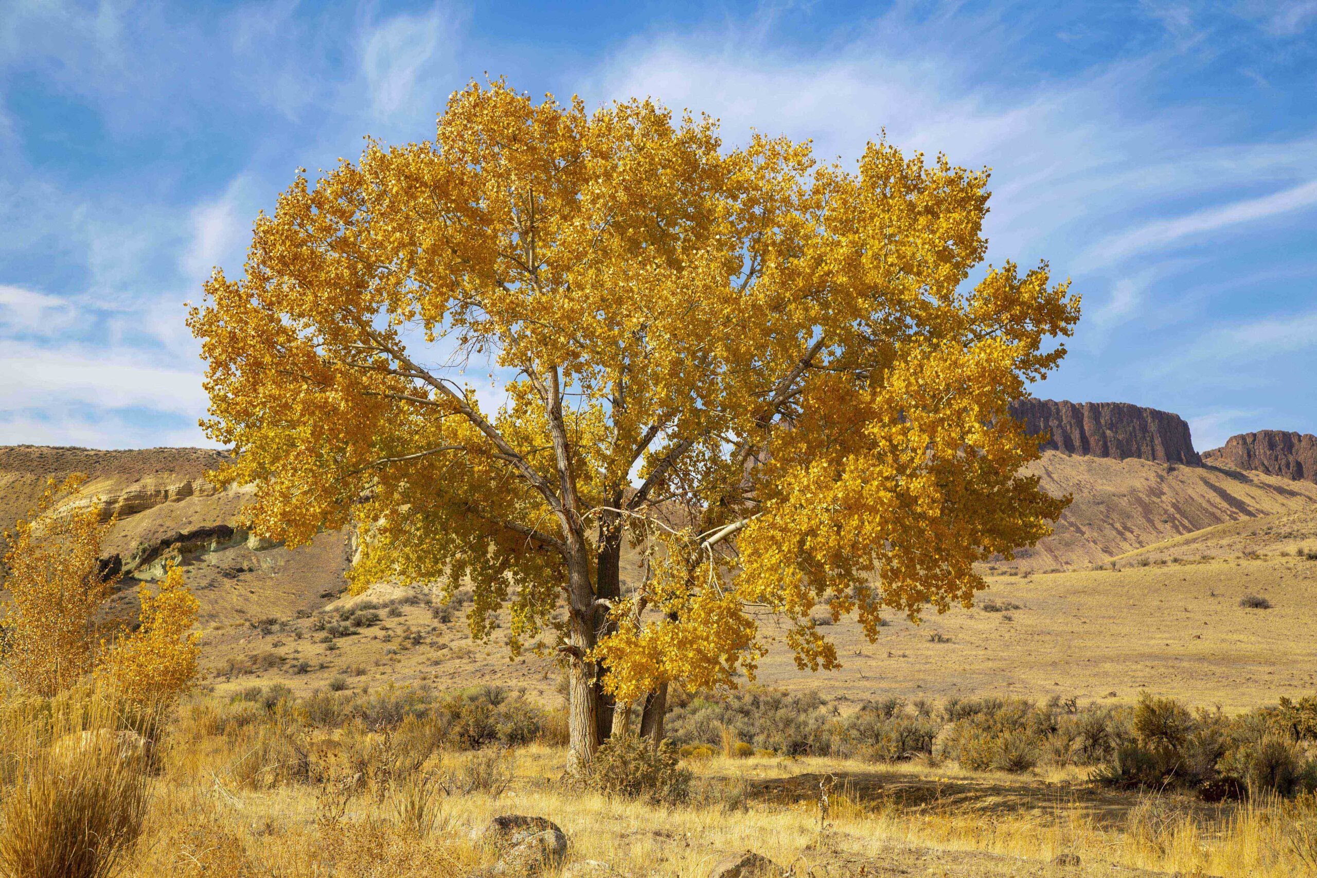 Succor Creek State Natural Area – Oregon