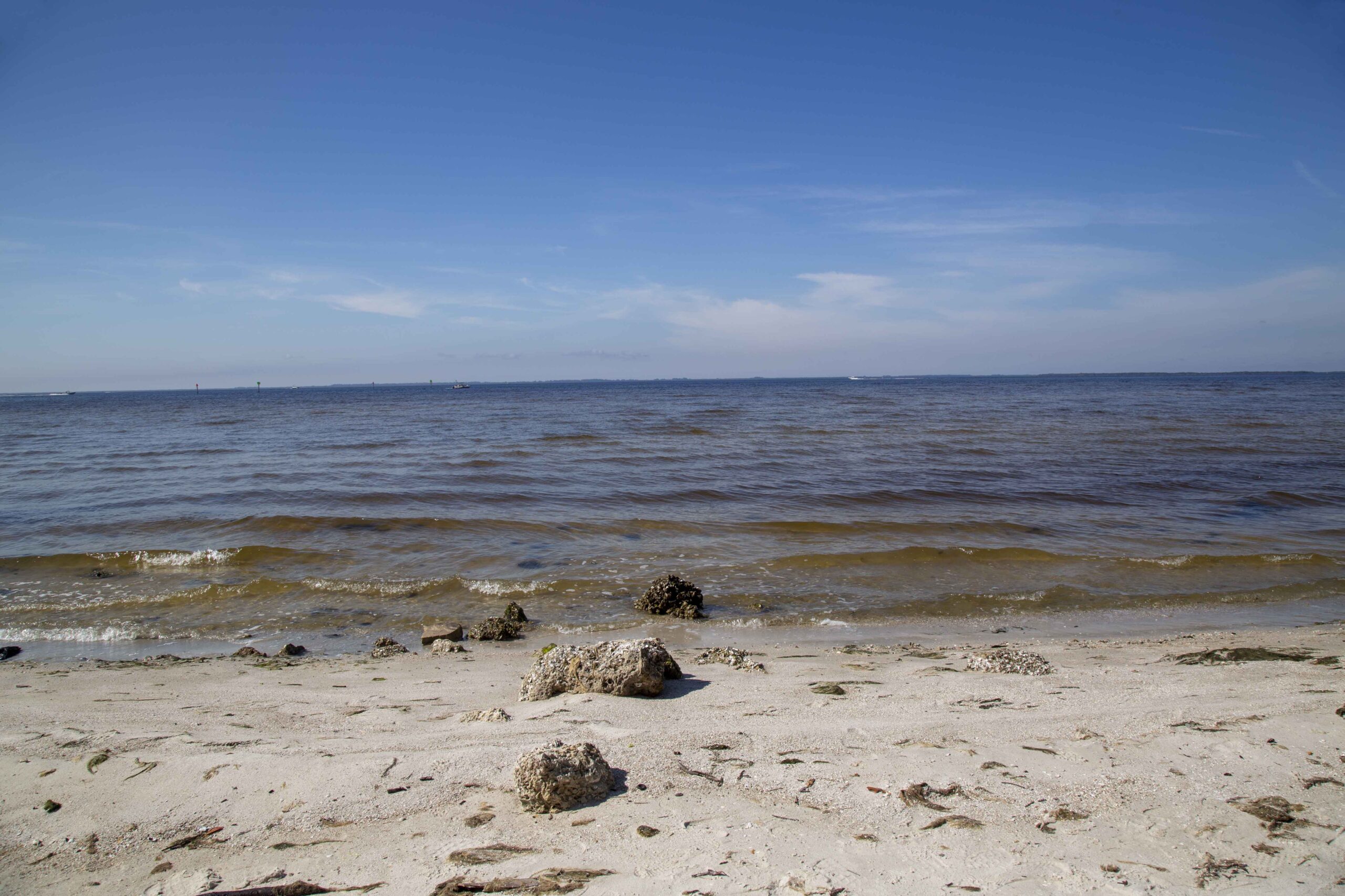 Florida Winter – 2021