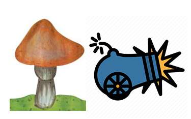 Artillery Fungus???