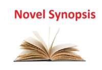 Importance of a novel’s synopsis